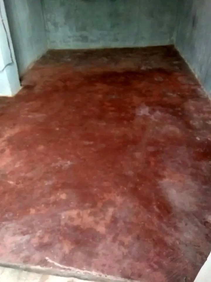 Photo du logement
