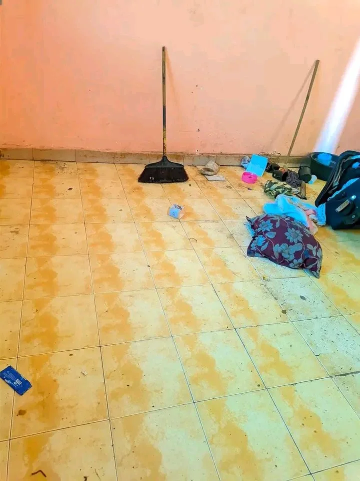 Photo du logement