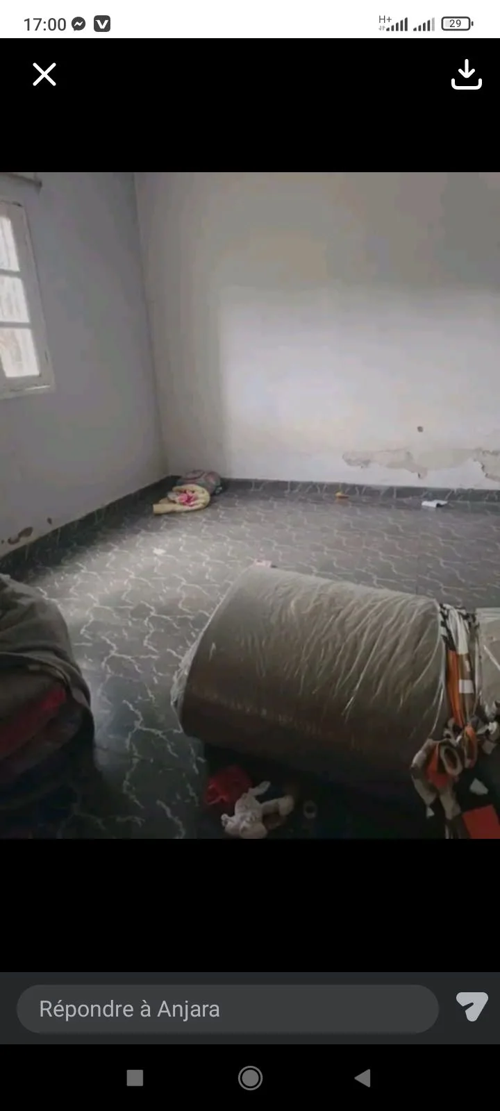 Photo du logement