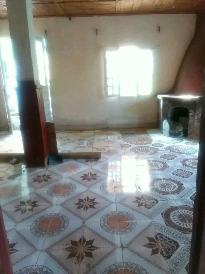 Photo du logement