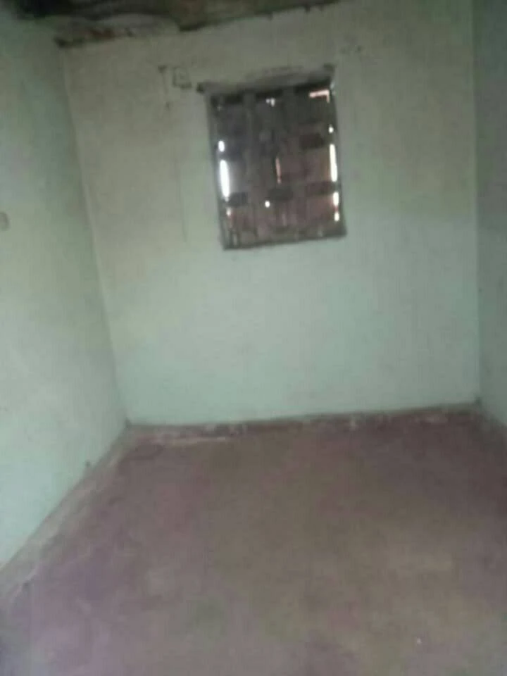 houseImage