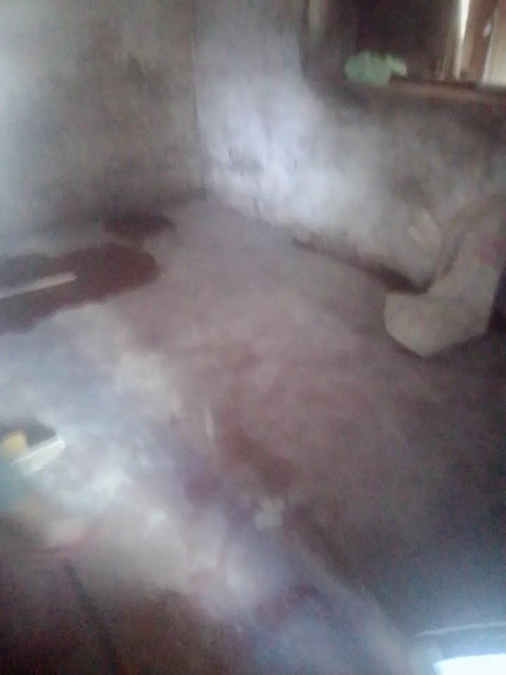 Photo du logement