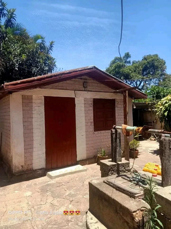 Photo du logement