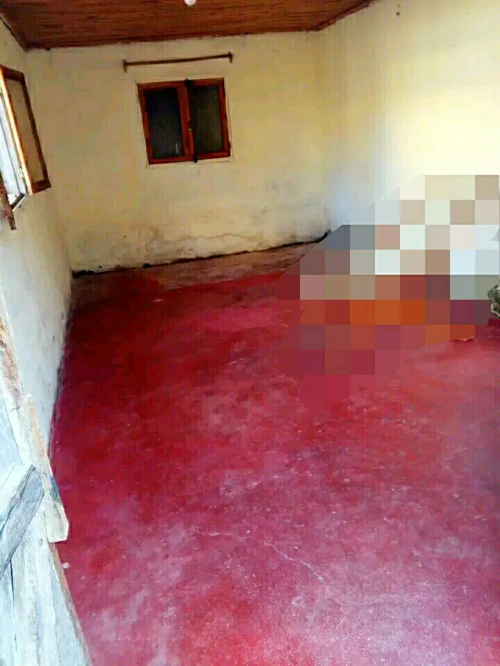 Photo du logement