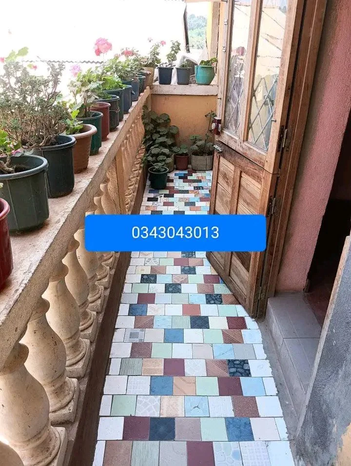 Photo du logement