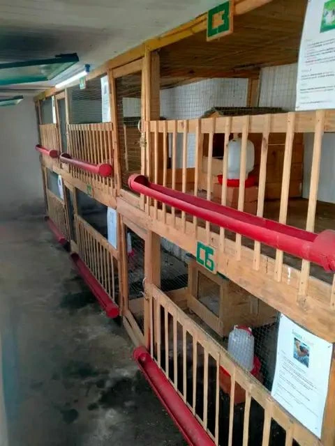 houseImage