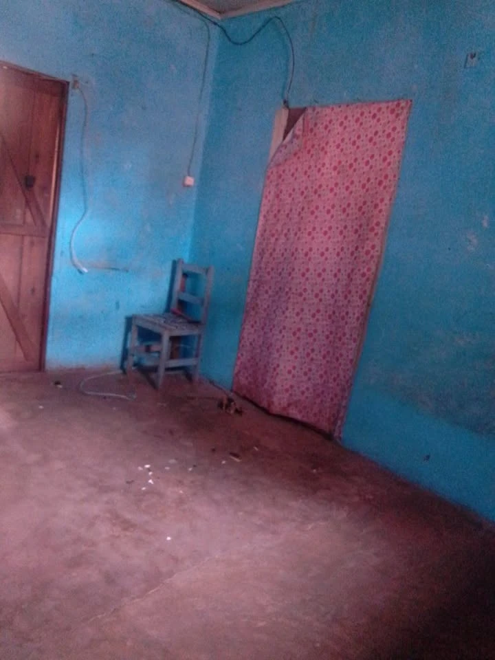 Photo du logement