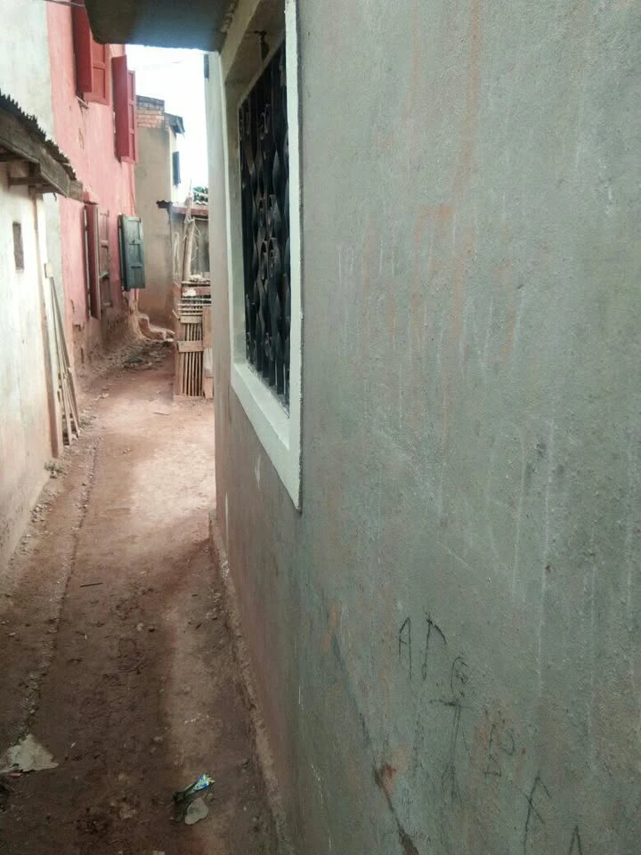 houseImage