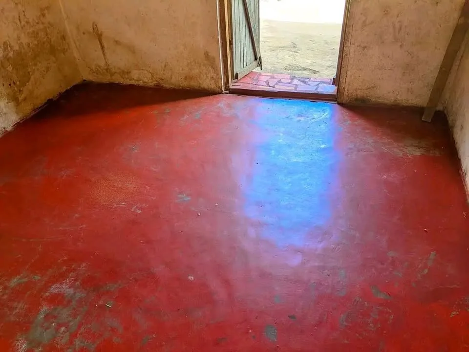Photo du logement