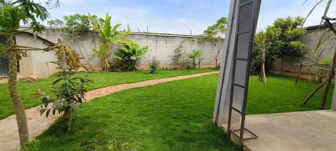Photo du logement
