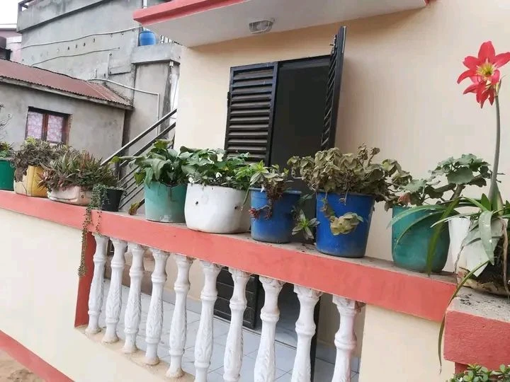 houseImage