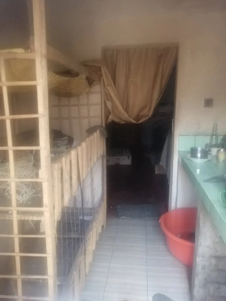 Photo du logement