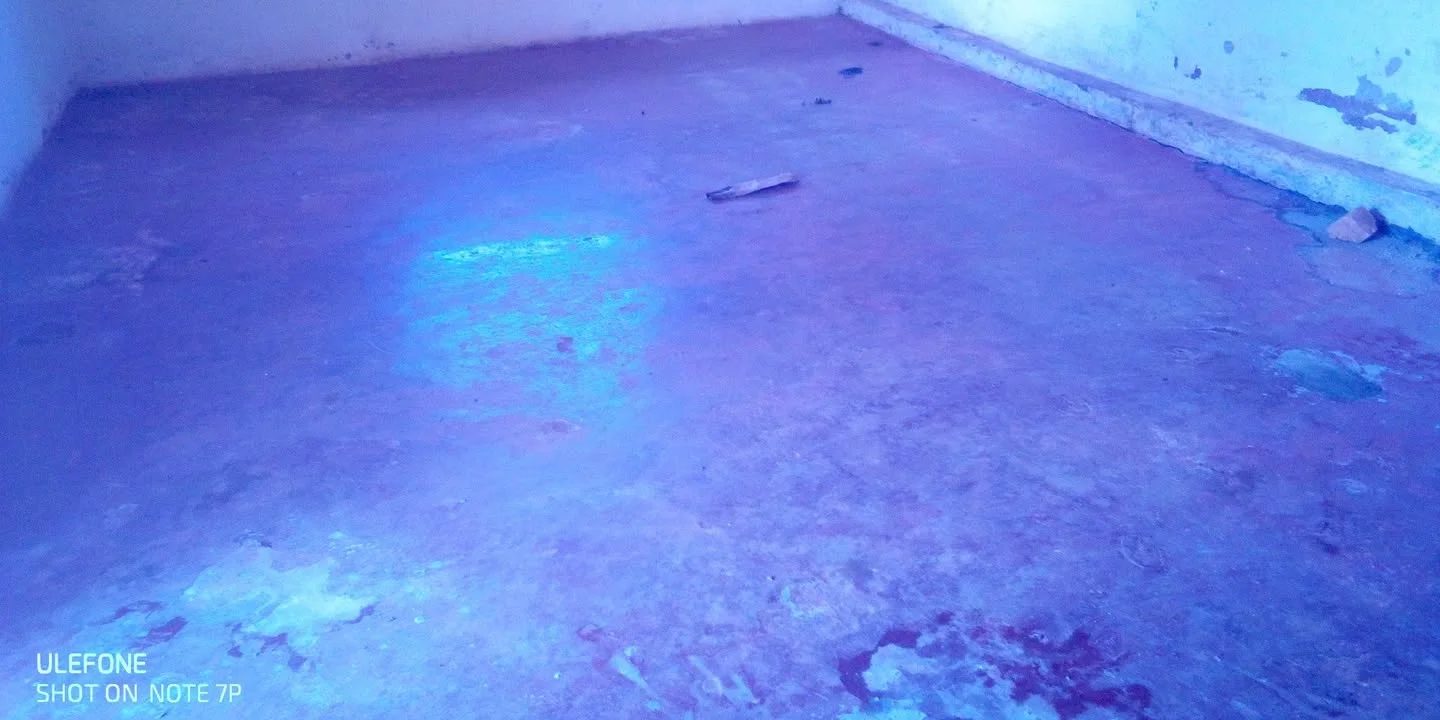 Photo du logement