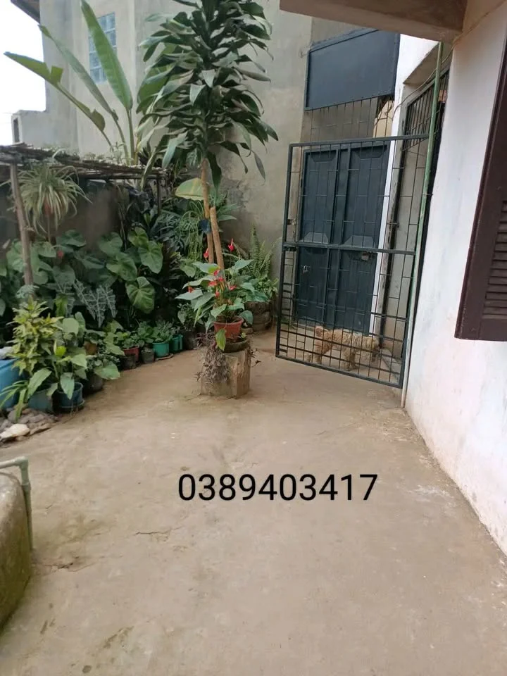 Photo du logement