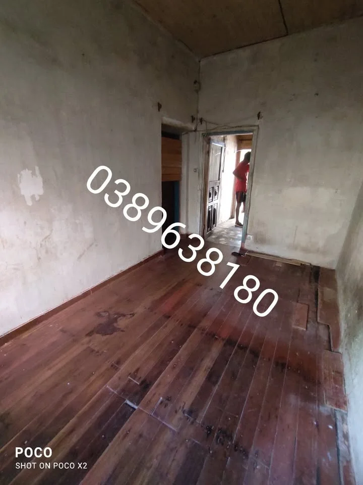 Photo du logement