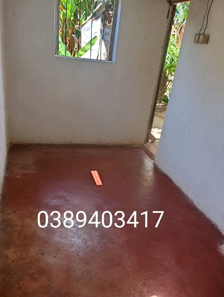 Photo du logement