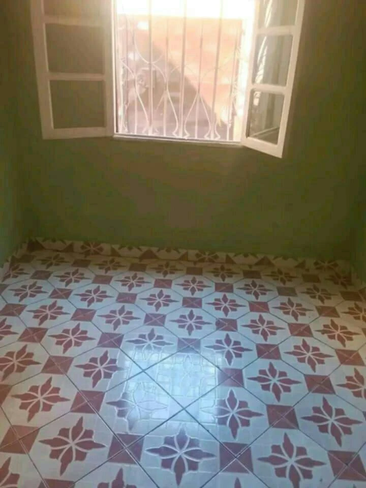 houseImage